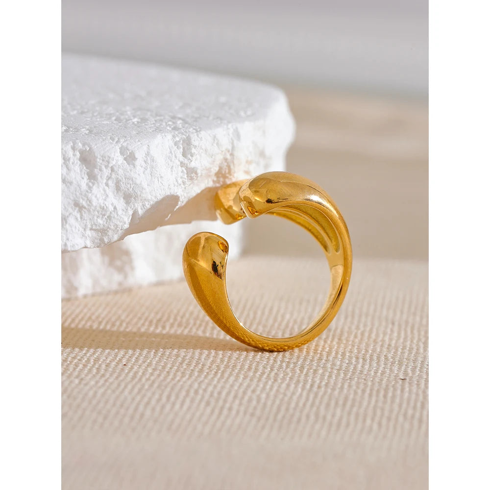 Vortice Ring