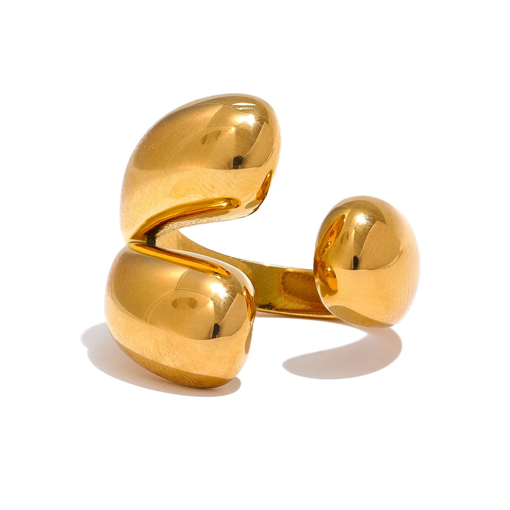 Vortice Ring